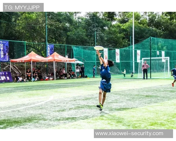 飞盘竞技的魅力与挑战:深入探讨南京飞盘队的战术与团队合作