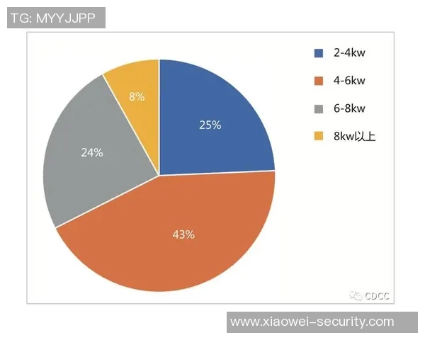 成都乒乓球队技术表现的数据分析与提升策略探讨
