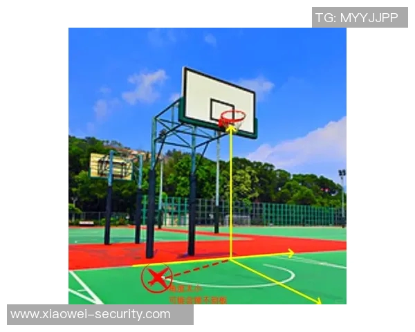 篮球新手必看：全面解析技术入门与实战技巧的详细指南